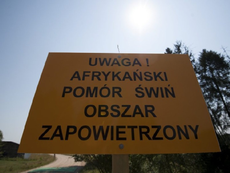 Lubelskie/ Wypłacono prawie 18 mln zł pomocy rolnikom w związku z ASF